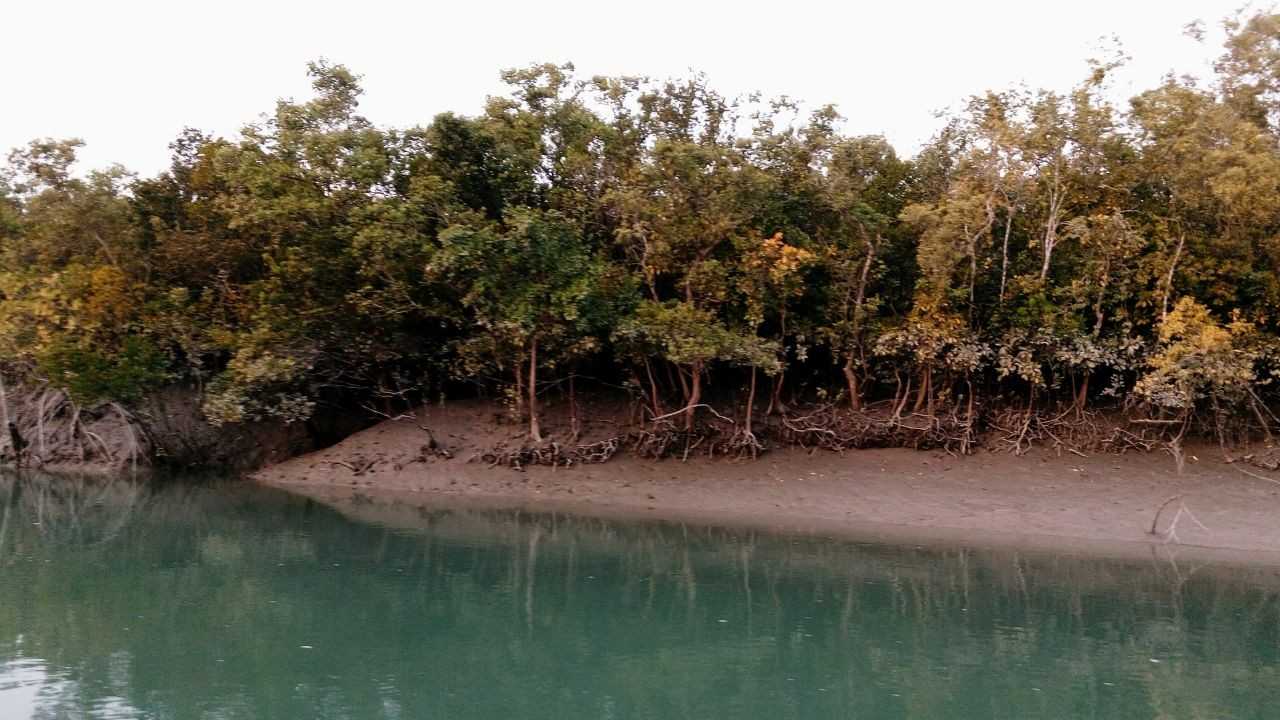Sundarban Boat Tour